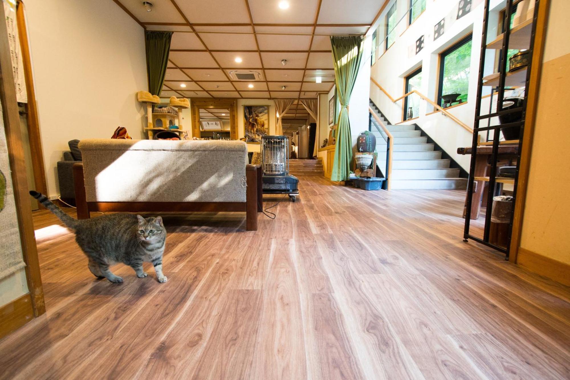 Akasawa Onsen Ryokan Nasushiobara Exterior foto